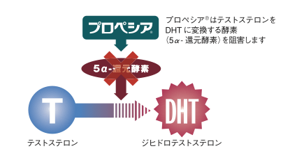 AGA（男性型脱毛症） 白崎医院 増毛 毛が生えてくる