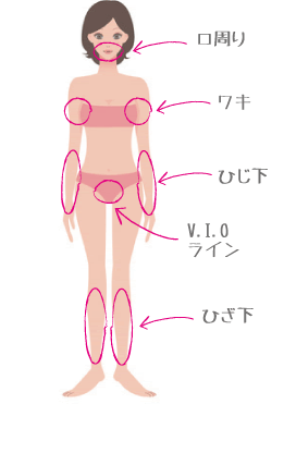 脱毛部位 と 施術料金　白崎医院  メディカルエステ 高岡美容皮膚科 白崎医院
