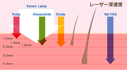 メディカルエステ 高岡美容皮膚科 白崎医院