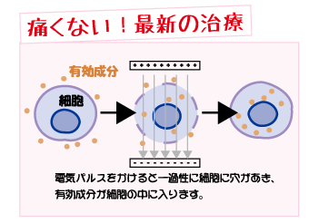 痛くない！最新の治療 メディカルエステ 高岡美容皮膚科 白崎医院